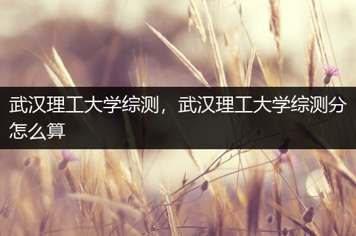 武汉理工大学综测，武汉理工大学综测分怎么算