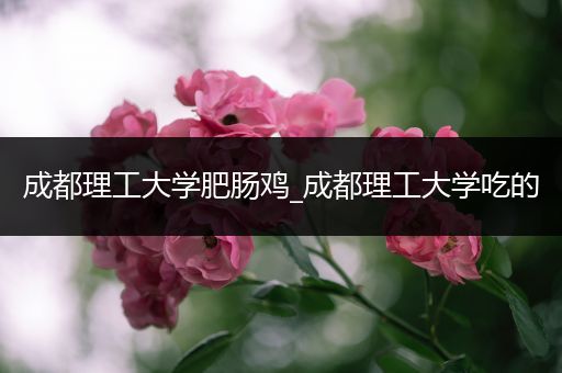 成都理工大学肥肠鸡_成都理工大学吃的
