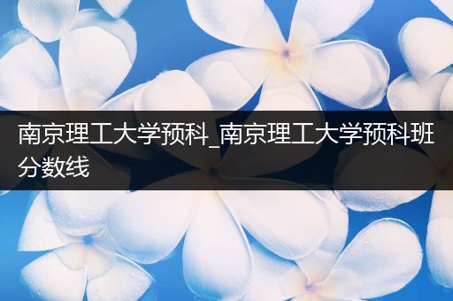 南京理工大学预科_南京理工大学预科班分数线
