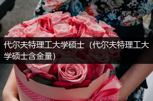 代尔夫特理工大学硕士（代尔夫特理工大学硕士含金量）