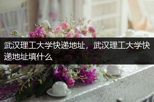 武汉理工大学快递地址，武汉理工大学快递地址填什么