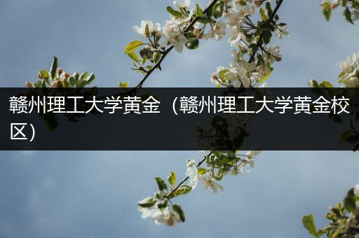 赣州理工大学黄金（赣州理工大学黄金校区）