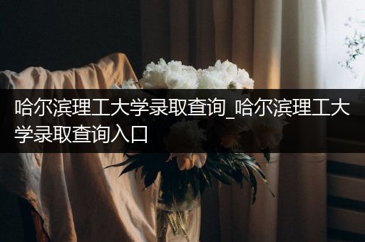 哈尔滨理工大学录取查询_哈尔滨理工大学录取查询入口