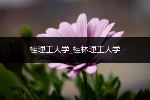 桂理工大学_桂林理工大学