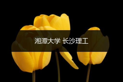 湘潭大学 长沙理工