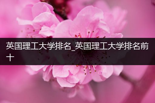 英国理工大学排名_英国理工大学排名前十