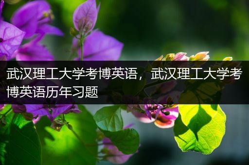 武汉理工大学考博英语，武汉理工大学考博英语历年习题