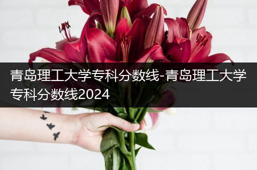 青岛理工大学专科分数线-青岛理工大学专科分数线2024