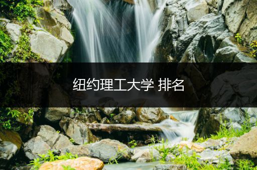 纽约理工大学 排名