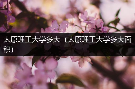 太原理工大学多大（太原理工大学多大面积）