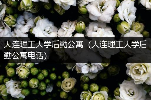 大连理工大学后勤公寓（大连理工大学后勤公寓电话）