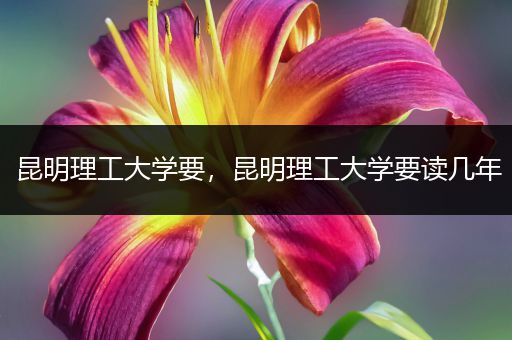 昆明理工大学要，昆明理工大学要读几年