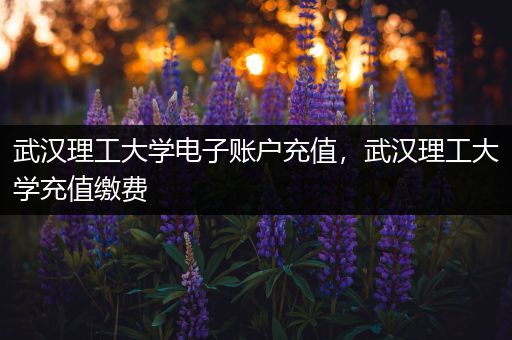 武汉理工大学电子账户充值，武汉理工大学充值缴费