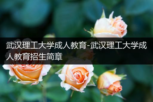 武汉理工大学成人教育-武汉理工大学成人教育招生简章