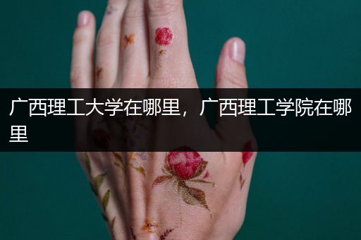 广西理工大学在哪里，广西理工学院在哪里