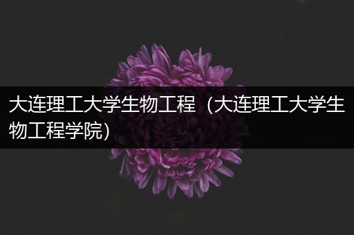 大连理工大学生物工程（大连理工大学生物工程学院）