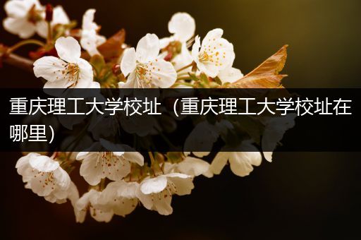 重庆理工大学校址（重庆理工大学校址在哪里）