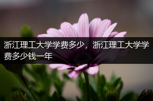 浙江理工大学学费多少，浙江理工大学学费多少钱一年