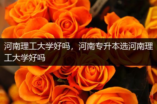 河南理工大学好吗，河南专升本选河南理工大学好吗