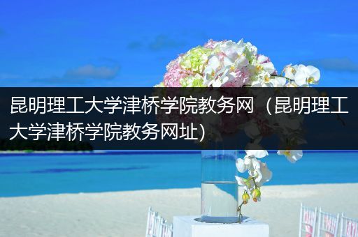 昆明理工大学津桥学院教务网（昆明理工大学津桥学院教务网址）