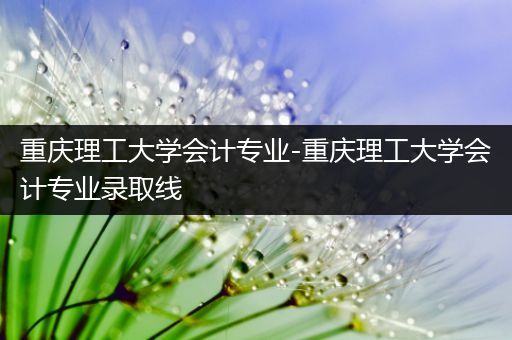 重庆理工大学会计专业-重庆理工大学会计专业录取线