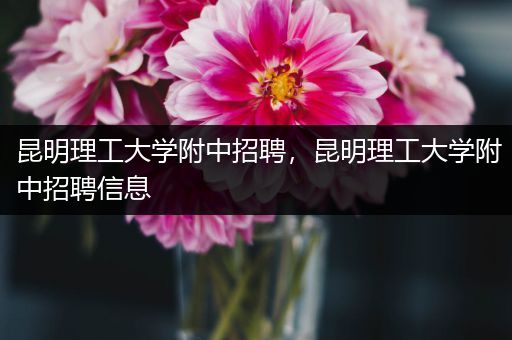 昆明理工大学附中招聘，昆明理工大学附中招聘信息