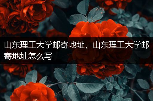 山东理工大学邮寄地址，山东理工大学邮寄地址怎么写