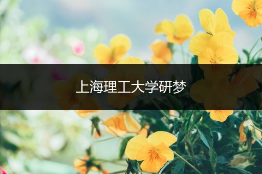 上海理工大学研梦