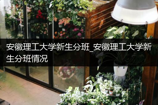 安徽理工大学新生分班_安徽理工大学新生分班情况