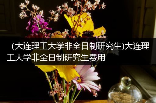 （大连理工大学非全日制研究生)大连理工大学非全日制研究生费用