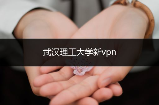 武汉理工大学新vpn