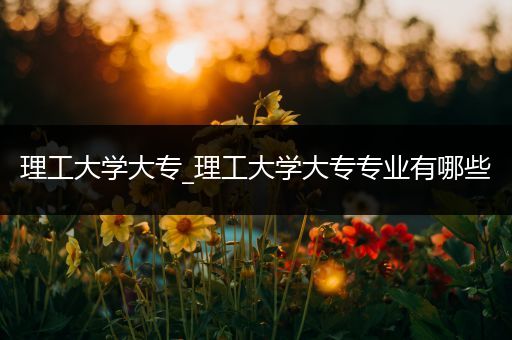 理工大学大专_理工大学大专专业有哪些