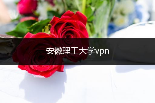 安徽理工大学vpn