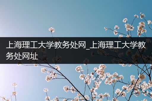 上海理工大学教务处网_上海理工大学教务处网址