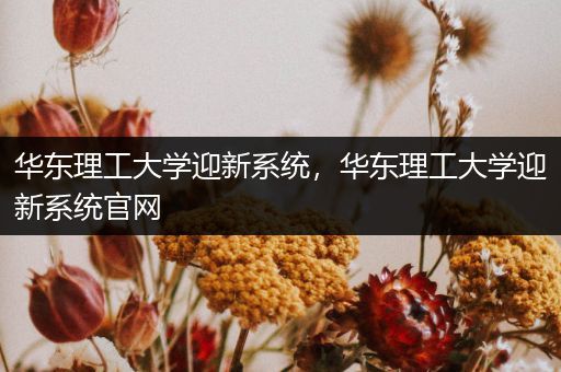 华东理工大学迎新系统，华东理工大学迎新系统官网