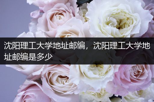 沈阳理工大学地址邮编，沈阳理工大学地址邮编是多少