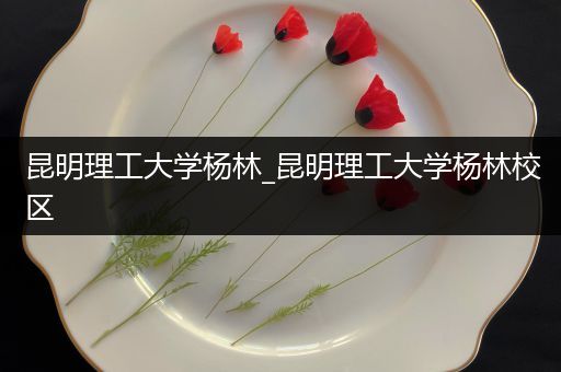 昆明理工大学杨林_昆明理工大学杨林校区