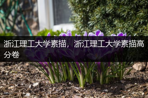 浙江理工大学素描，浙江理工大学素描高分卷