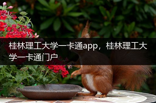 桂林理工大学一卡通app，桂林理工大学一卡通门户