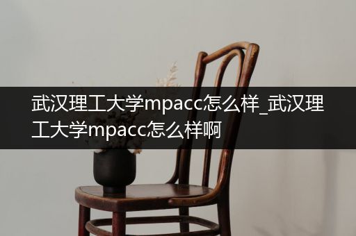 武汉理工大学mpacc怎么样_武汉理工大学mpacc怎么样啊
