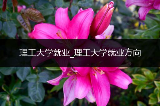 理工大学就业_理工大学就业方向