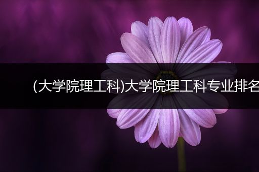 （大学院理工科)大学院理工科专业排名