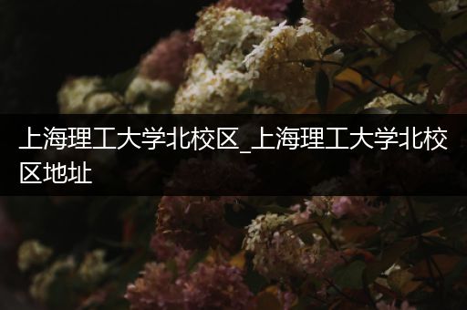上海理工大学北校区_上海理工大学北校区地址