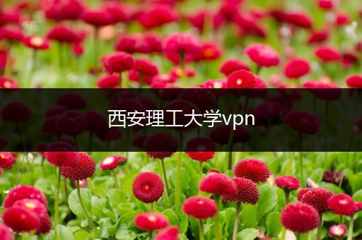 西安理工大学vpn