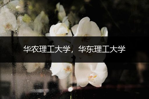 华农理工大学，华东理工大学