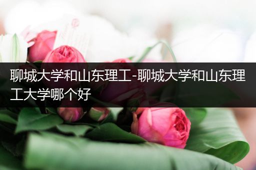 聊城大学和山东理工-聊城大学和山东理工大学哪个好
