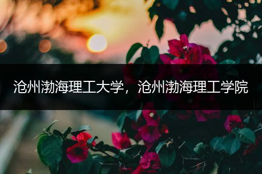 沧州渤海理工大学，沧州渤海理工学院
