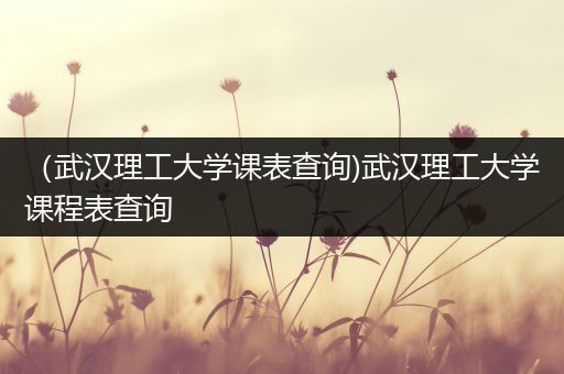 （武汉理工大学课表查询)武汉理工大学课程表查询