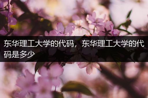 东华理工大学的代码，东华理工大学的代码是多少
