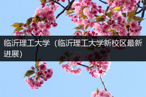 临沂理工大学（临沂理工大学新校区最新进展）